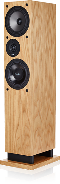 ProAc DT8 speaker at Basil Audio