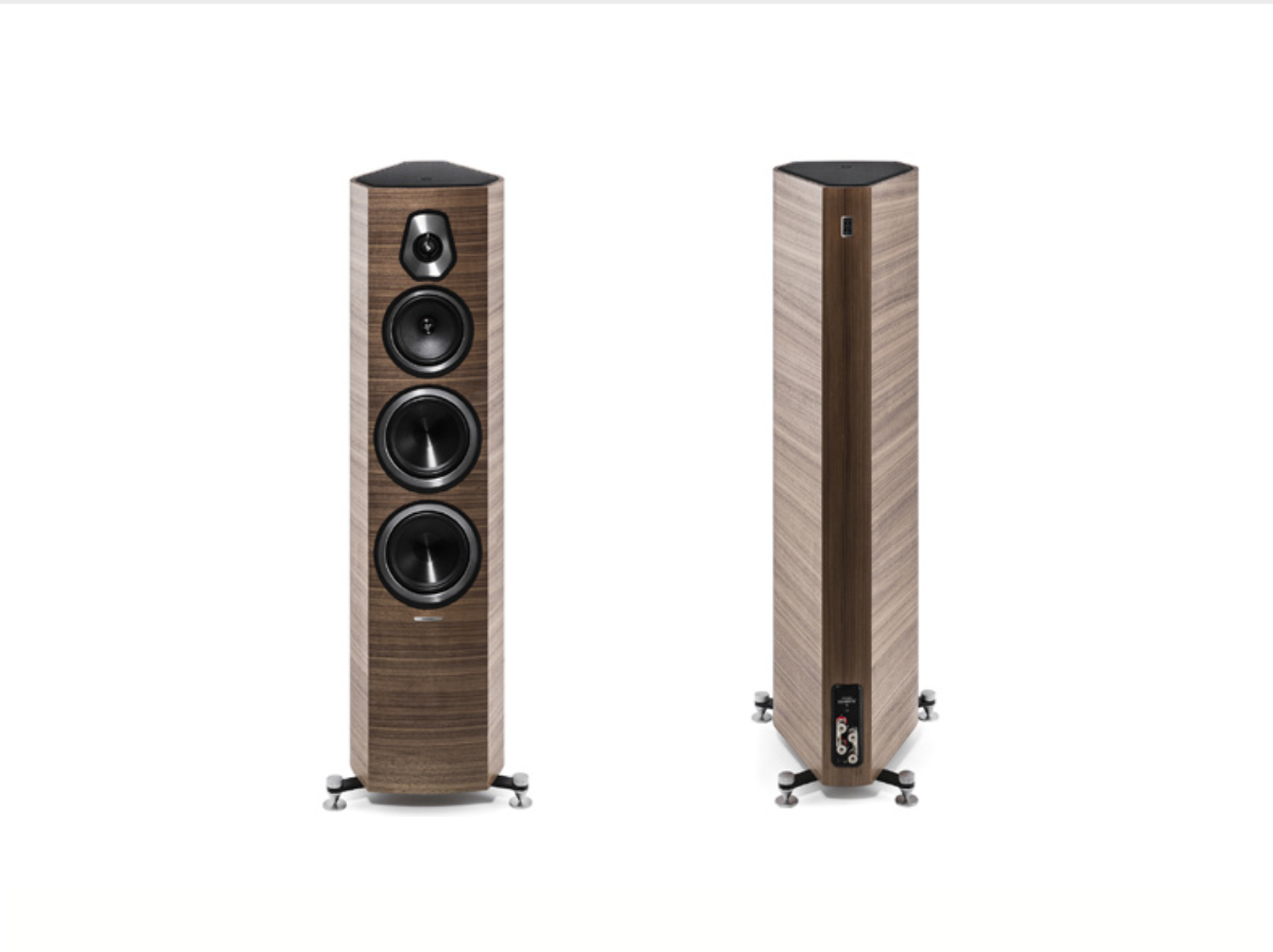 Sonus Faber Sonnetto V