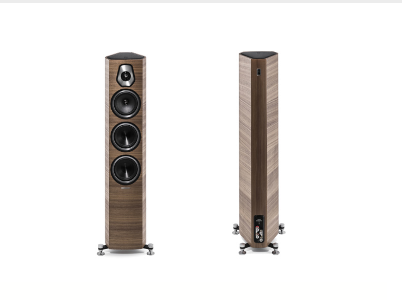 Sonus Faber Sonetto III – www.basilaudio.com